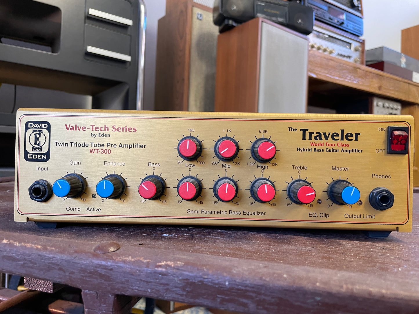 Eden WT-300 Traveler Bass Head