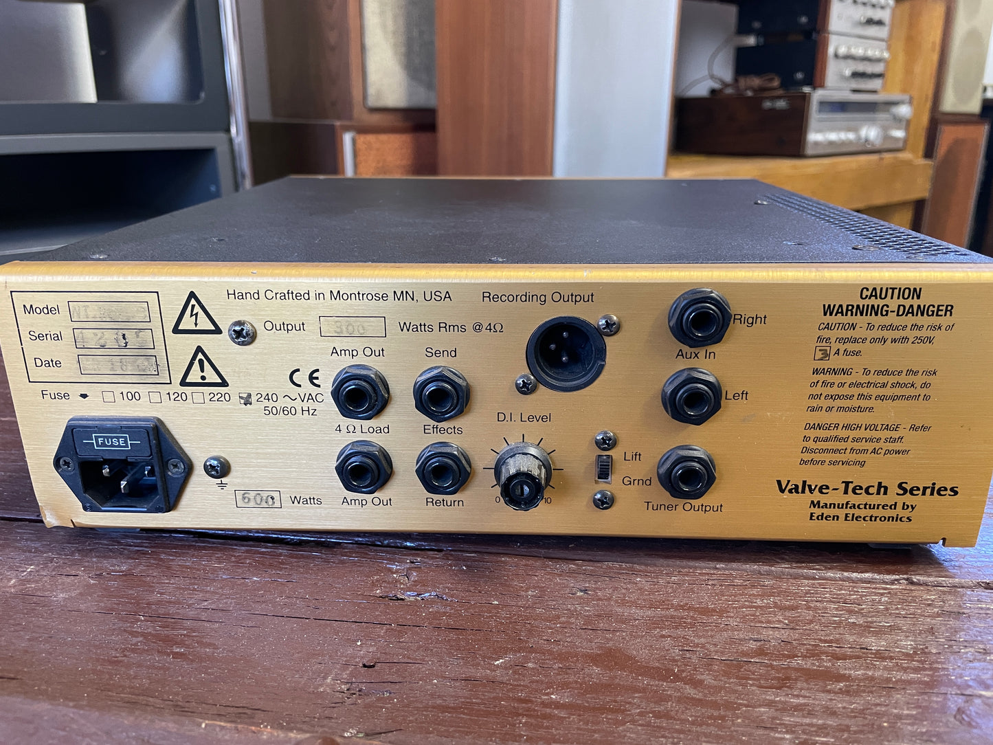 Eden WT-300 Traveler Bass Head